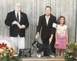 Scanned Image 84_edited