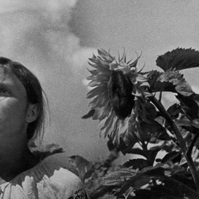 Earth film poster. Click for more information.