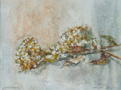 「初夏Ⅱ」 “Early Summer Ⅱ"