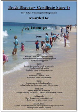 Stage 4 - Beach Discovery