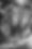 IMG_7733.jpeg