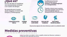 Cómo evitar y prevenir el Zika