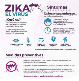 Cómo evitar y prevenir el Zika