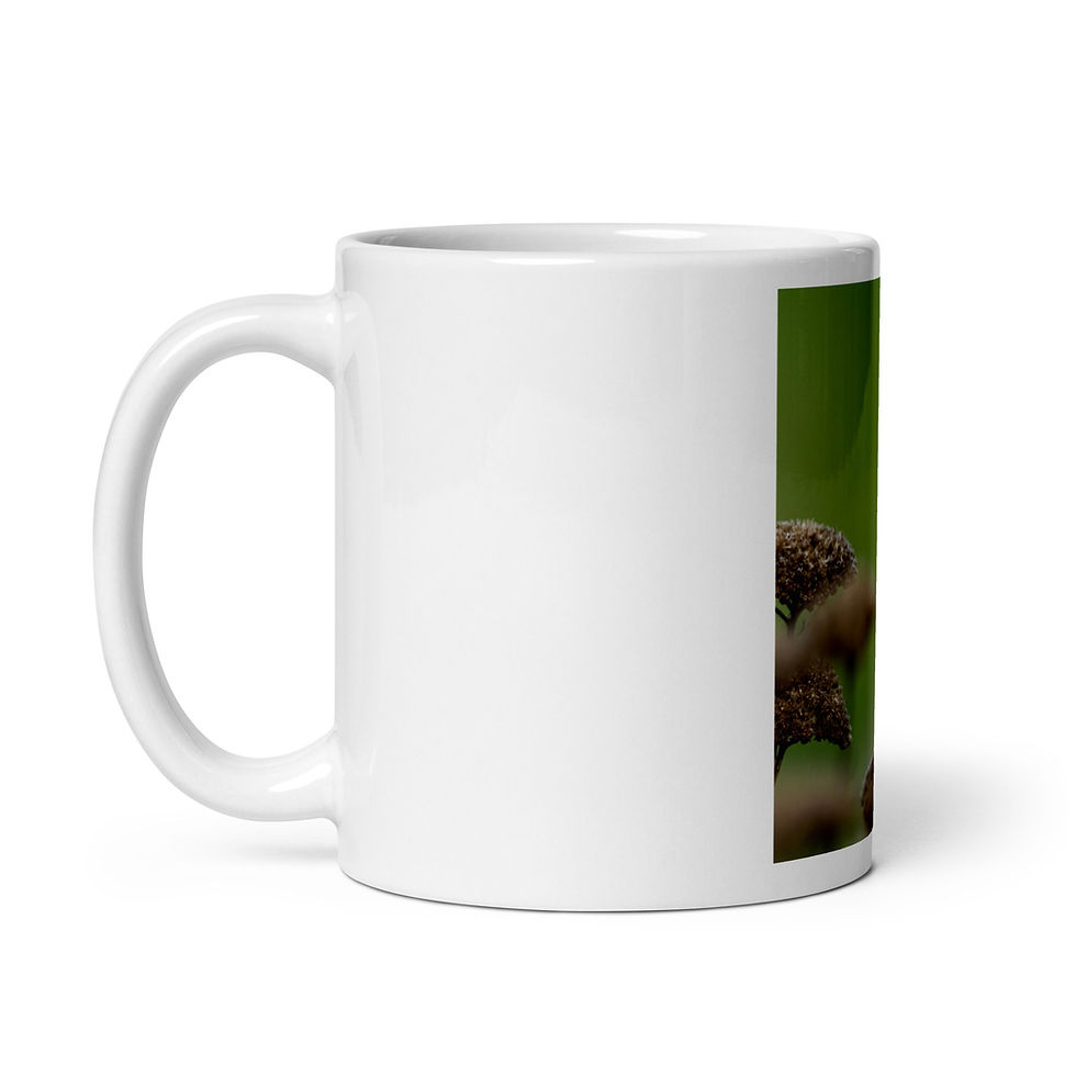 Thumbnail: Butterfly White glossy mug