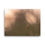 Thumbnail: Spider Canvas