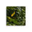 Thumbnail: Yellow Leaf Canvas