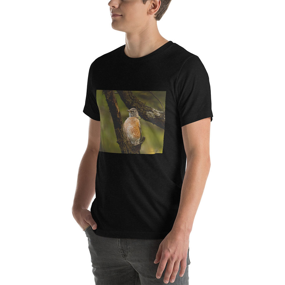 Thumbnail: On A Branch Unisex t-shirt