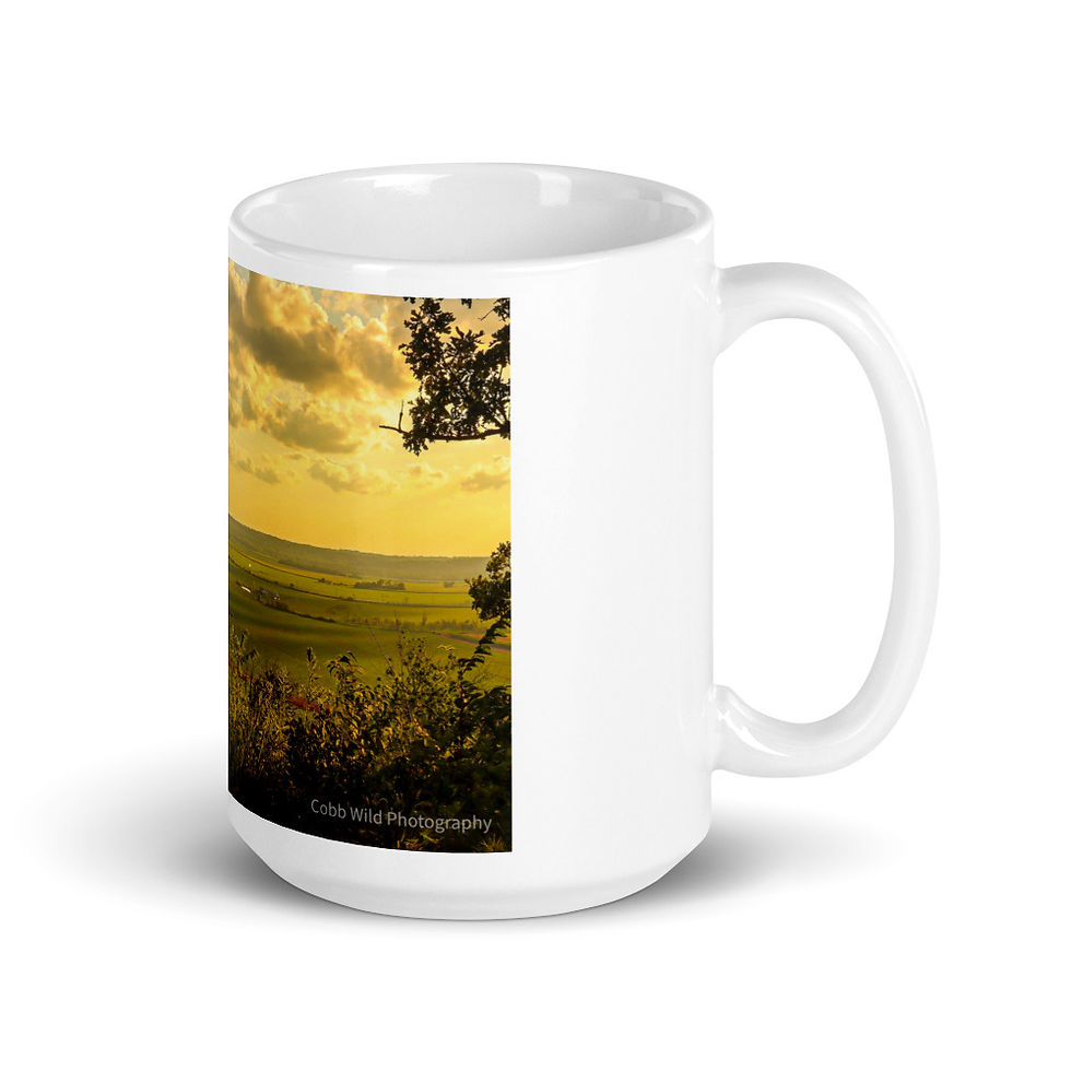 Thumbnail: The Edge Of Iowa Mug