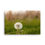 Thumbnail: In The Grass Canvas
