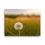 Thumbnail: Dandelion Canvas