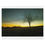 Thumbnail: An Evening Tree Jigsaw puzzle