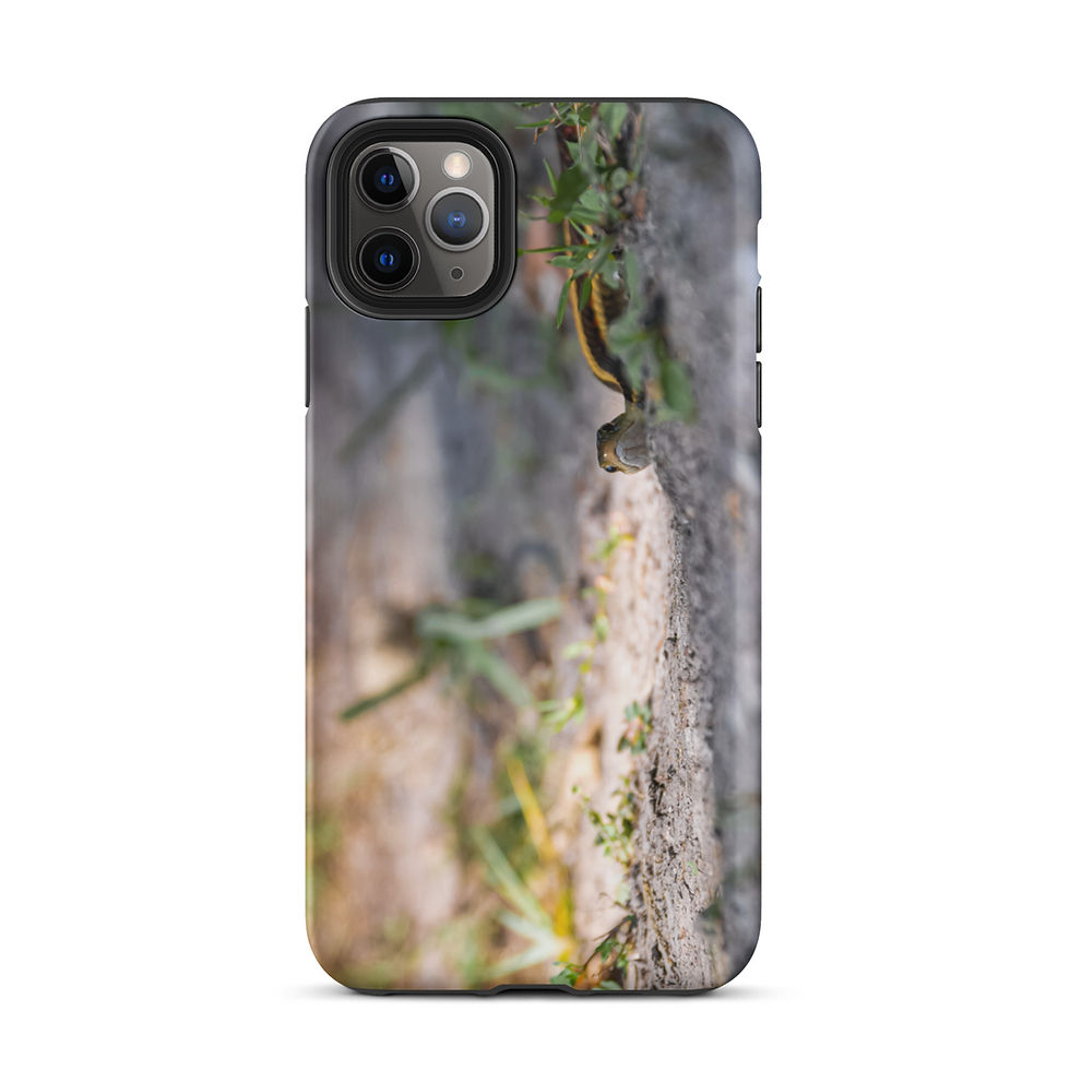 Thumbnail: The Garter Snake Tough iPhone case