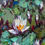 Thumbnail: White Water Lilies | 100 x 100 cm | 39 x 39 in