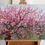 Thumbnail: Impressionist peach blossom painting with vibrant pink tones