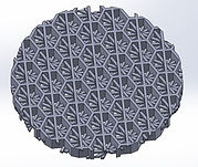 Liver Regeneration Scaffold.jpg