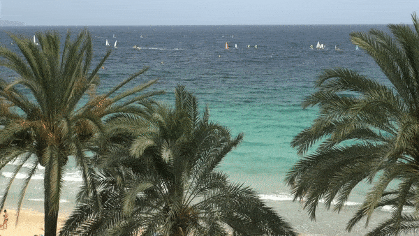 boats
