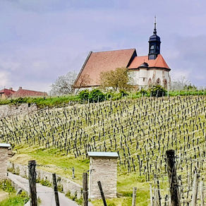 Weinbergwanderung mit Weinprobe in Fahr