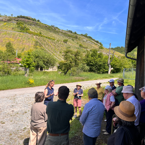 Biodiversität im Weinberg