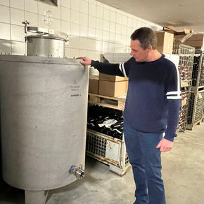 Granitwein - verkostung beim Winzer