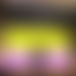 65. Veitshöchheimer Weinbautage