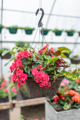 LittleVillageGreenhouse2022-112.jpg