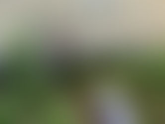 9月 おまかせ娘 ひばりファーム活動