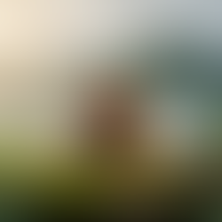 Ron Botran rhum Guatemala Appellation Origine Protégée", "vieillissement altitude Quetzaltenango Casa Botran