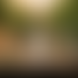 Bouteille de Coeur de Canne 50°, rhum agricole blanc AOC Martinique de la Distillerie La Favorite, fondée en 1842. Flacon en verre gravé au nom de la distillerie, étiquette crème et bouchon liège, produit et mis en bouteille par la famille Dormoy en Martinique.