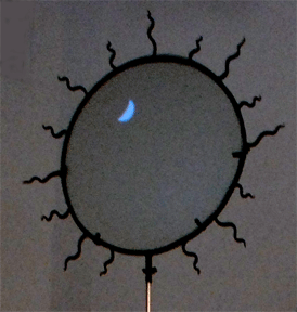moon.gif