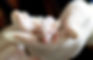 Randomisation in Genetically Altered mouse studies – it is possible