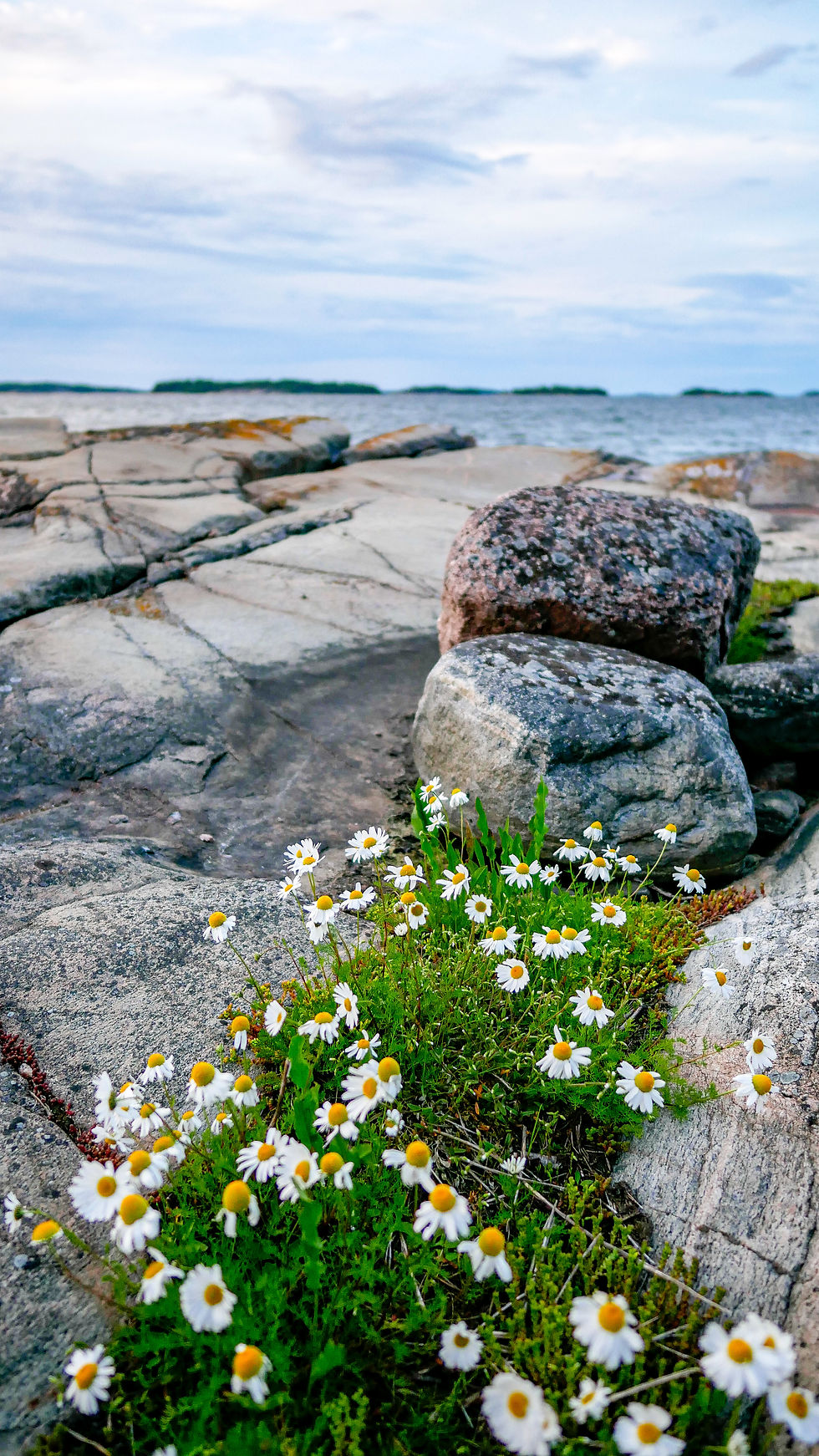 brännskär kesä