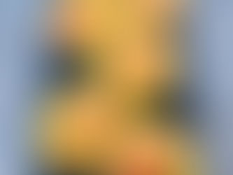 Red Pepper Bacon Zucchini Fritters