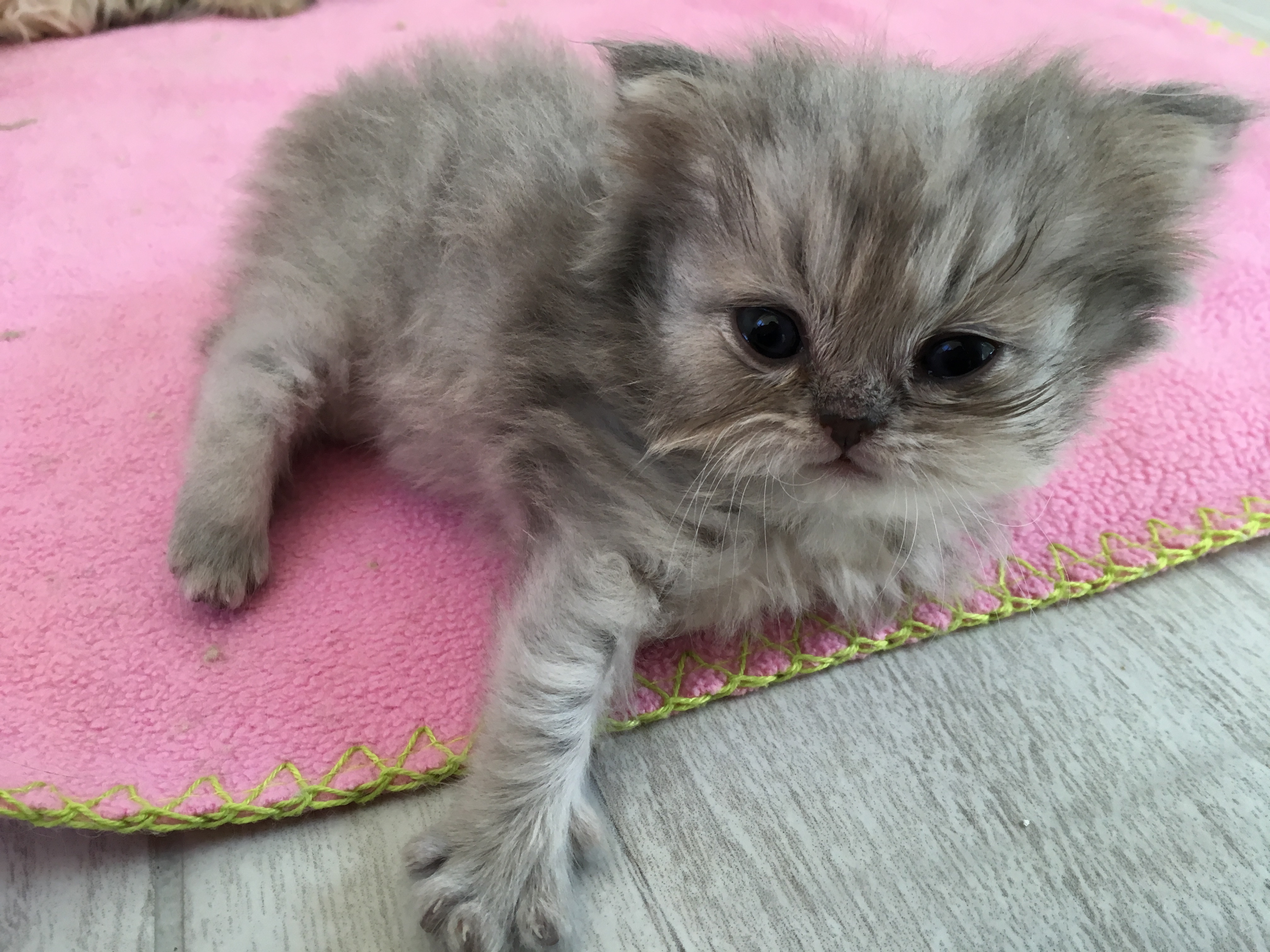1 mois