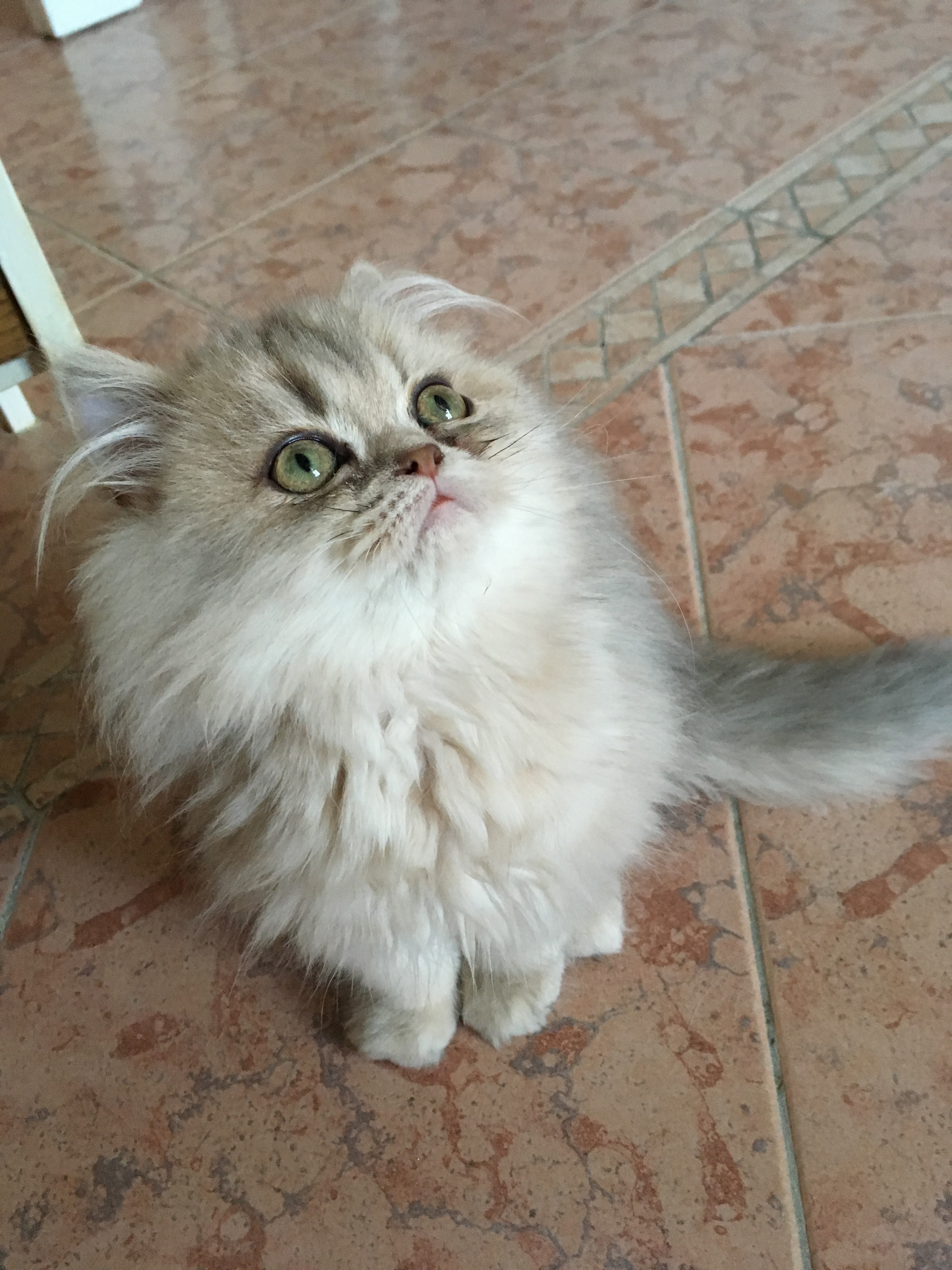 4 mois