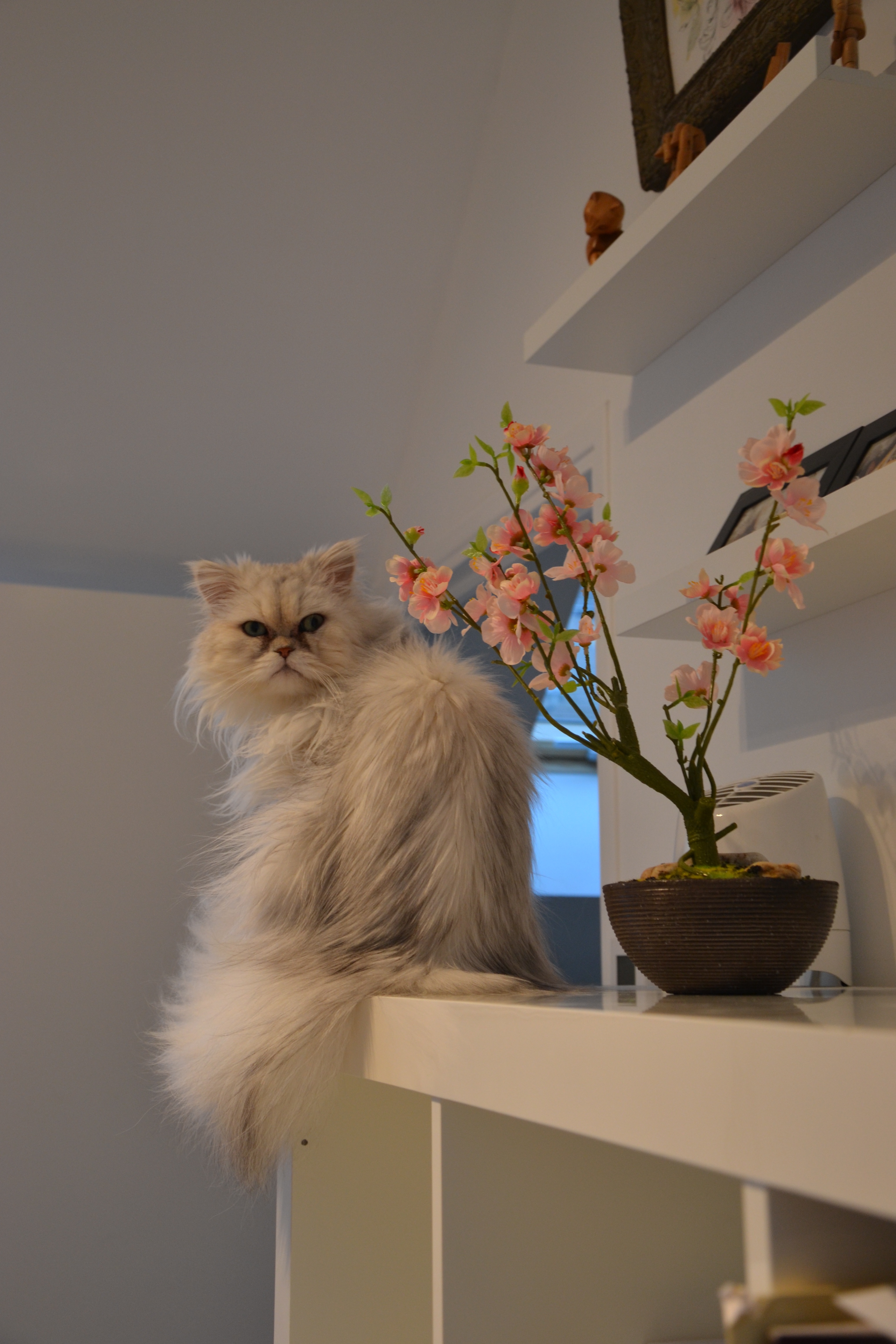 11 mois