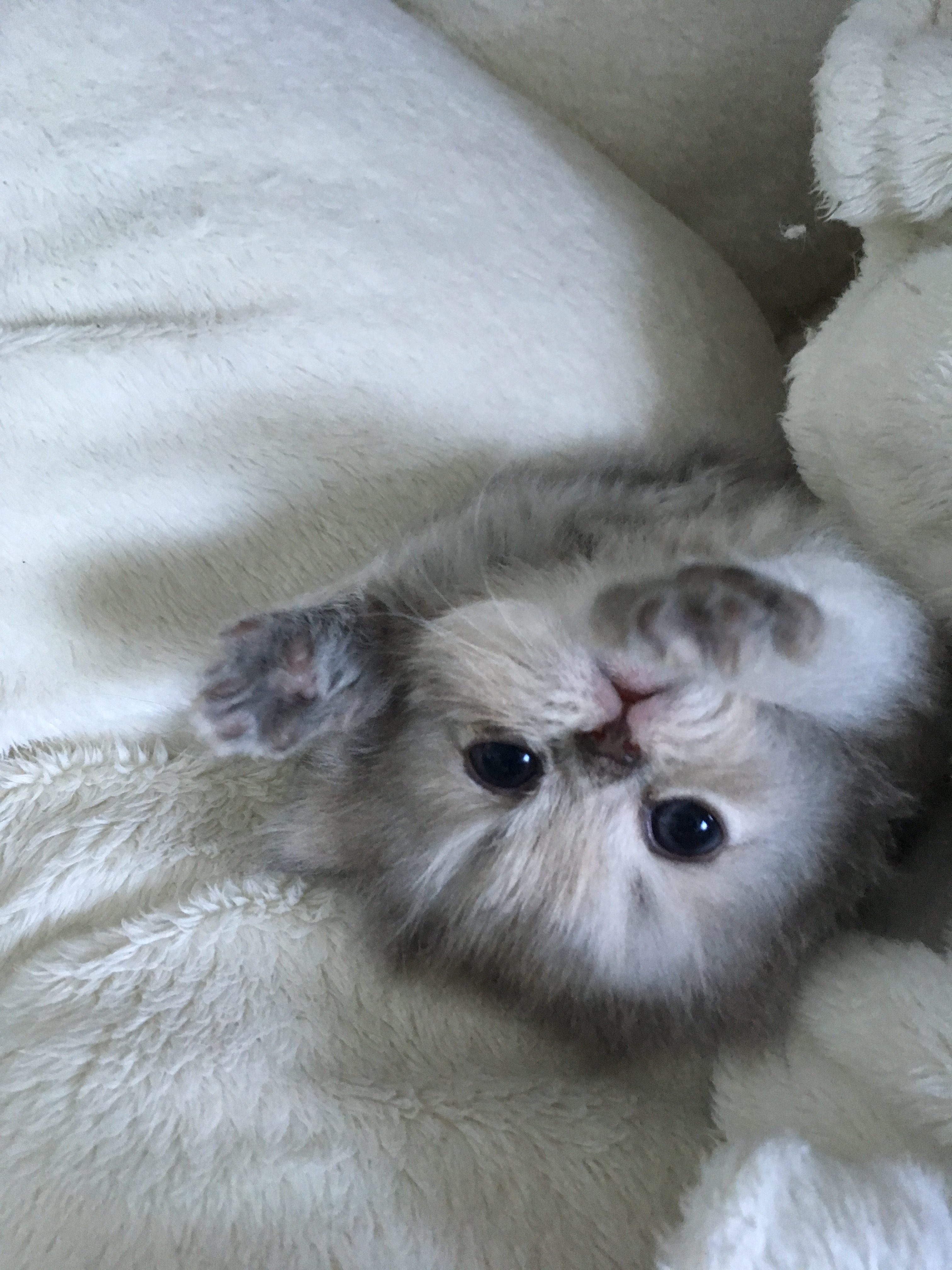 1 mois