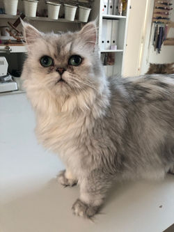 2 ans