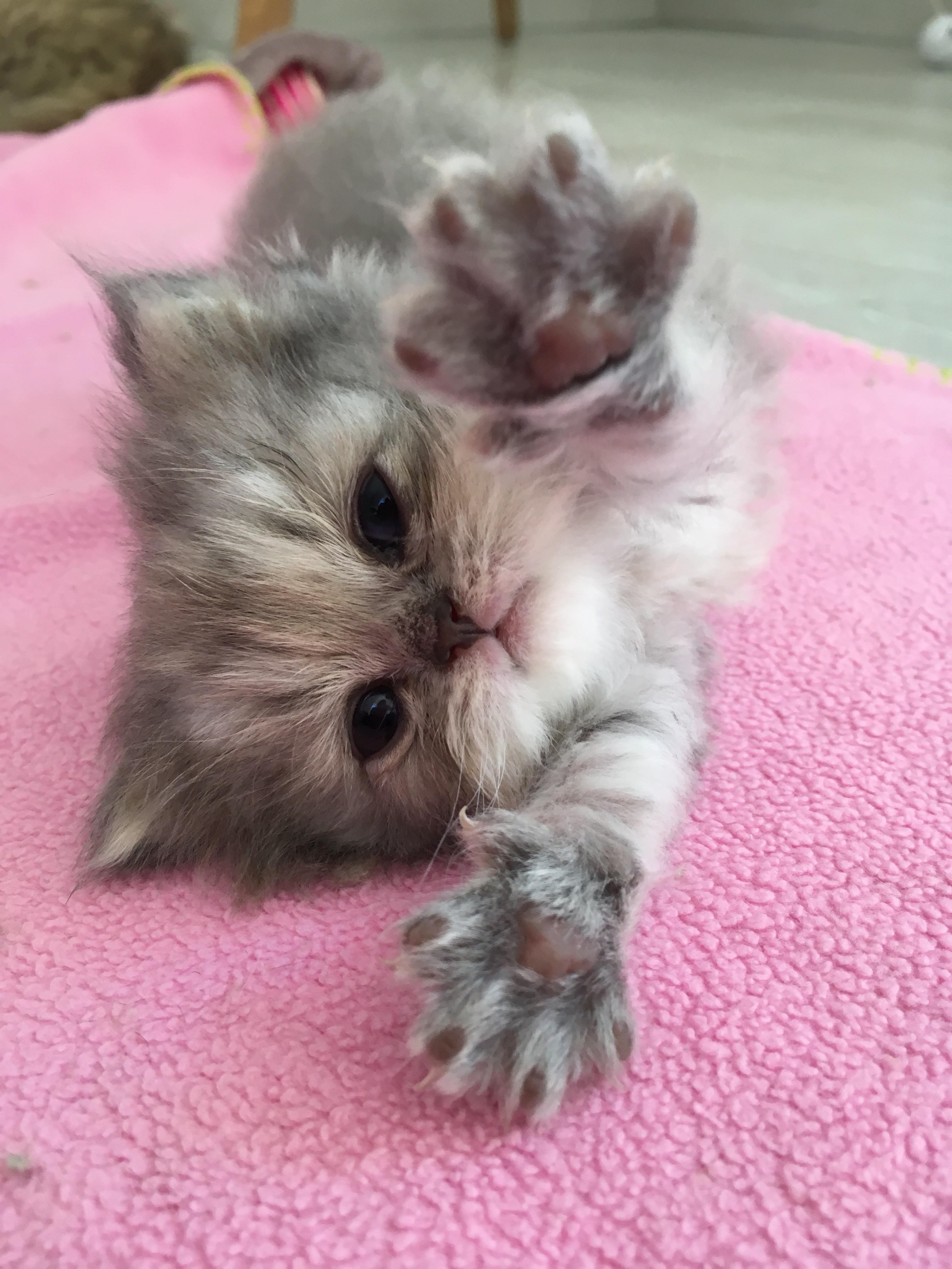 1 mois