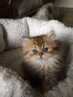 1 mois
