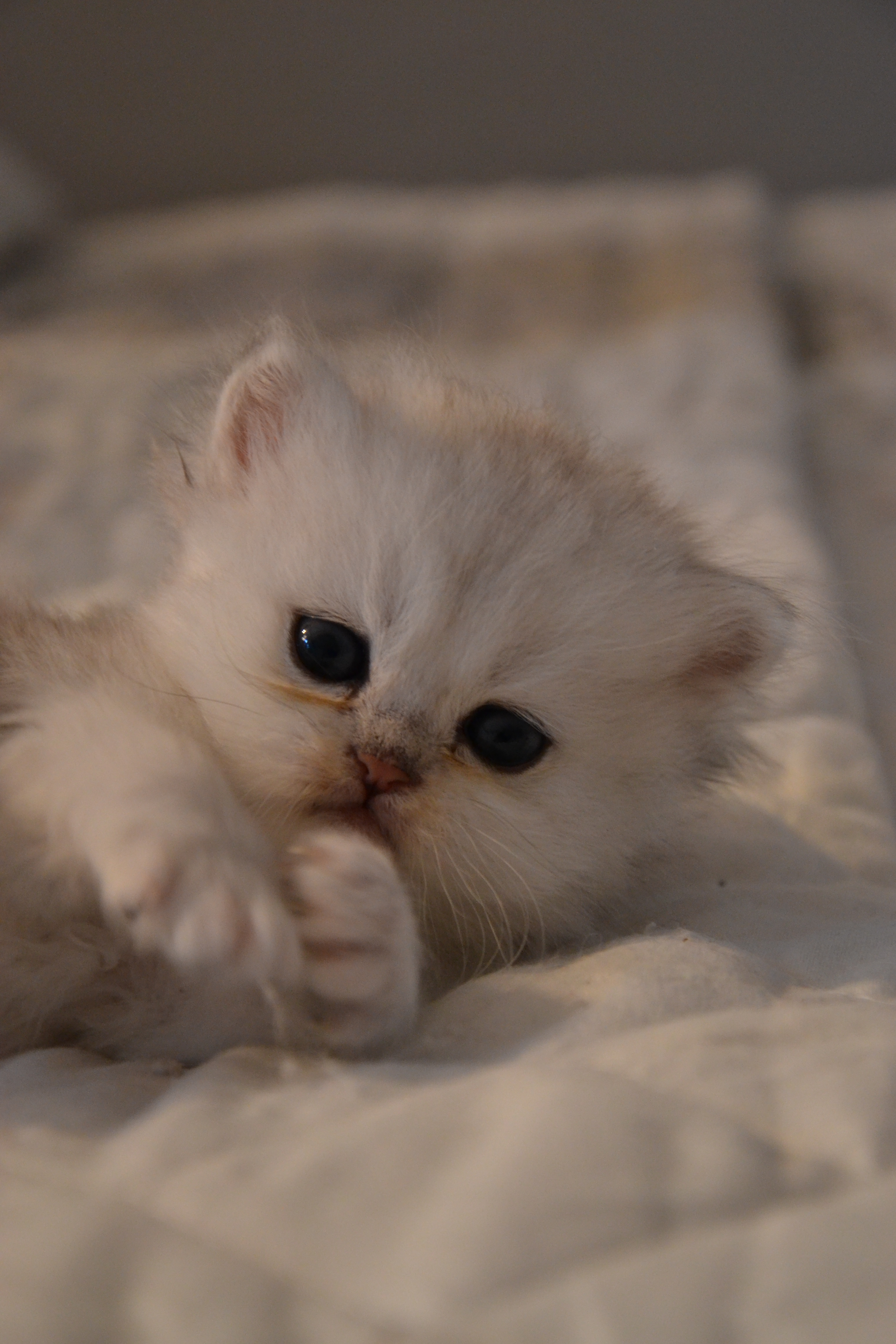 1 mois