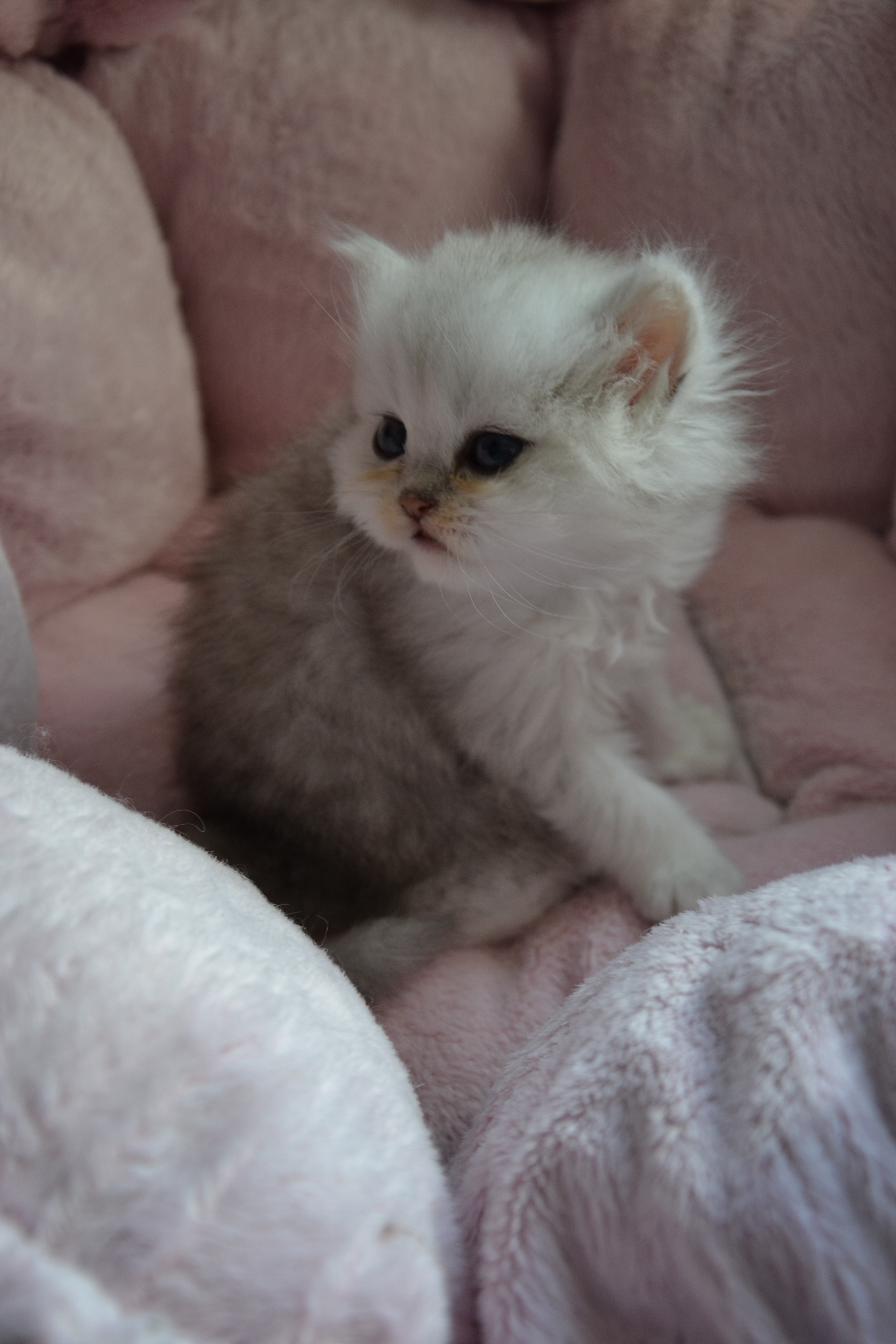 1 mois