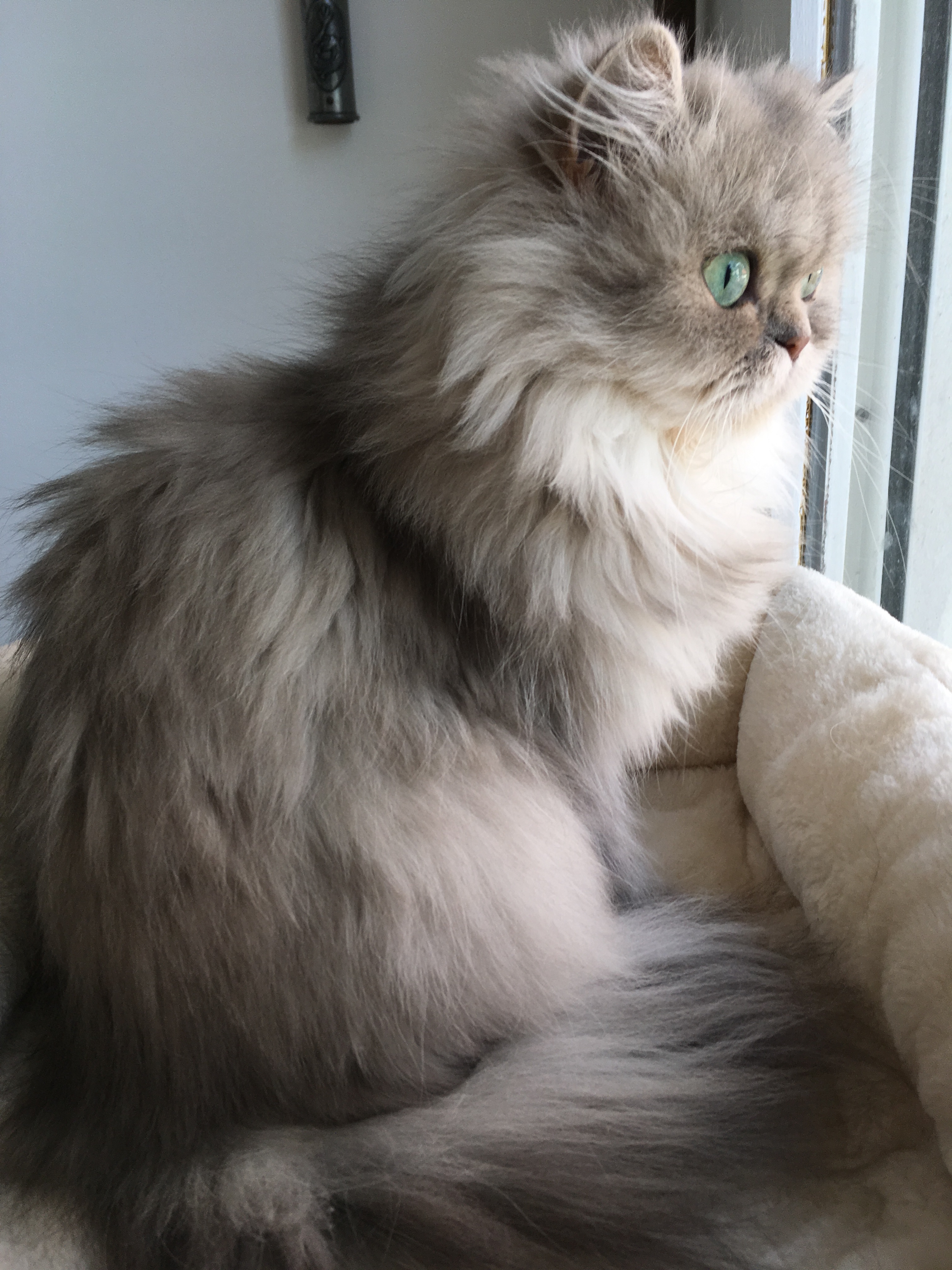 5 ans