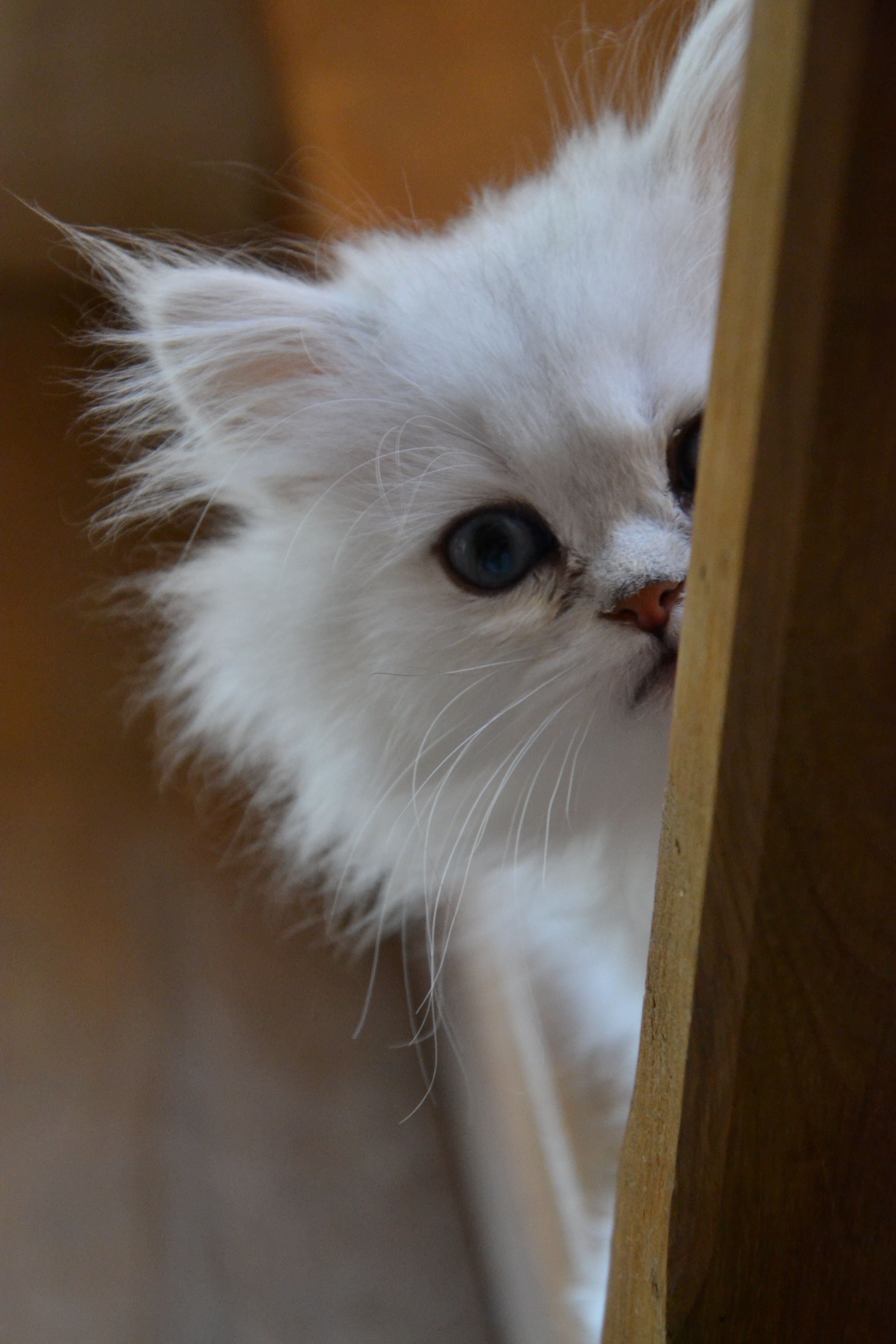 2 mois