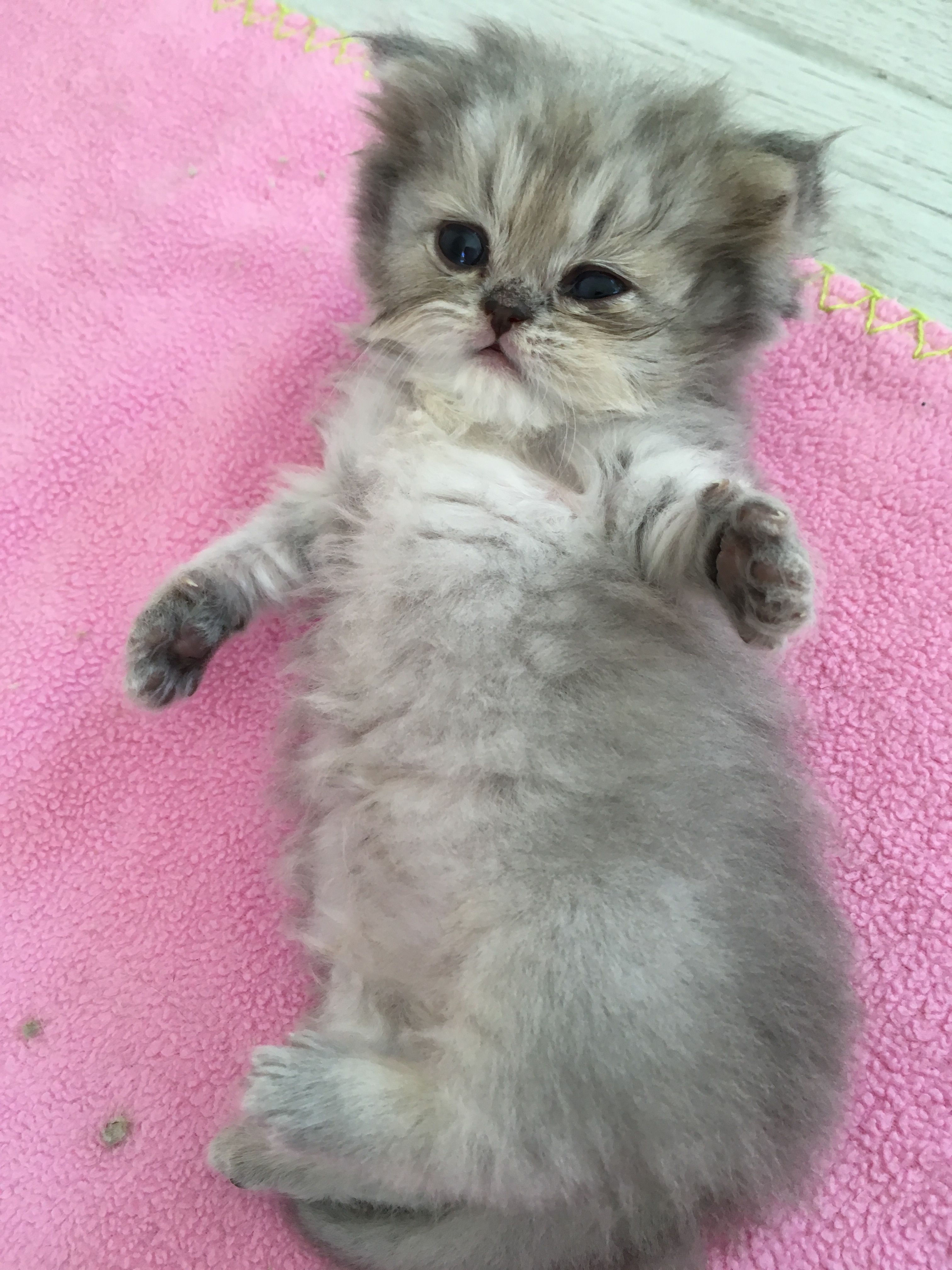 1 mois