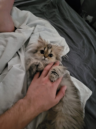 A7EDE1D4-AFDF-4FF3-B978-F21467D266F3.jpeg