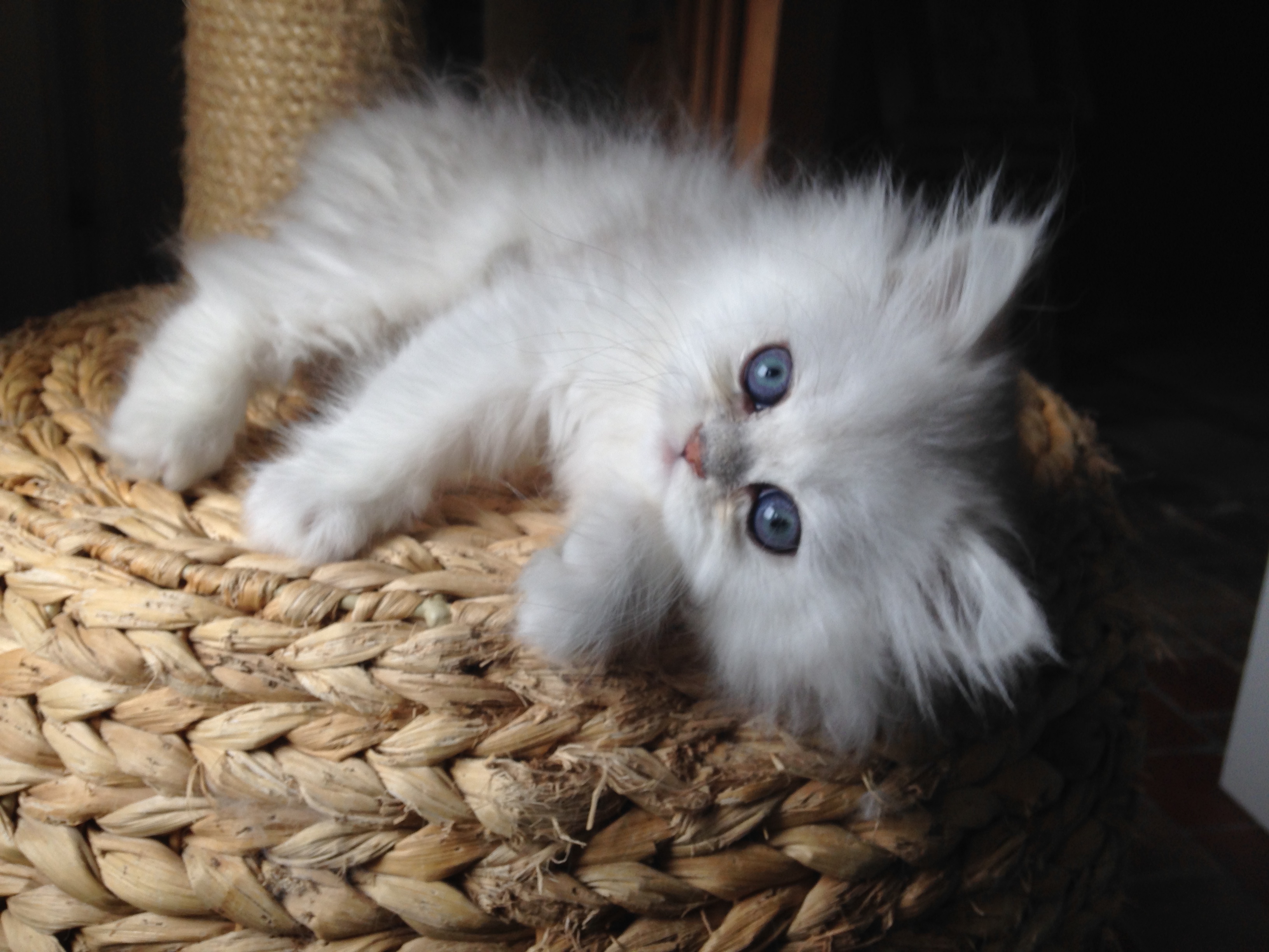 2 mois