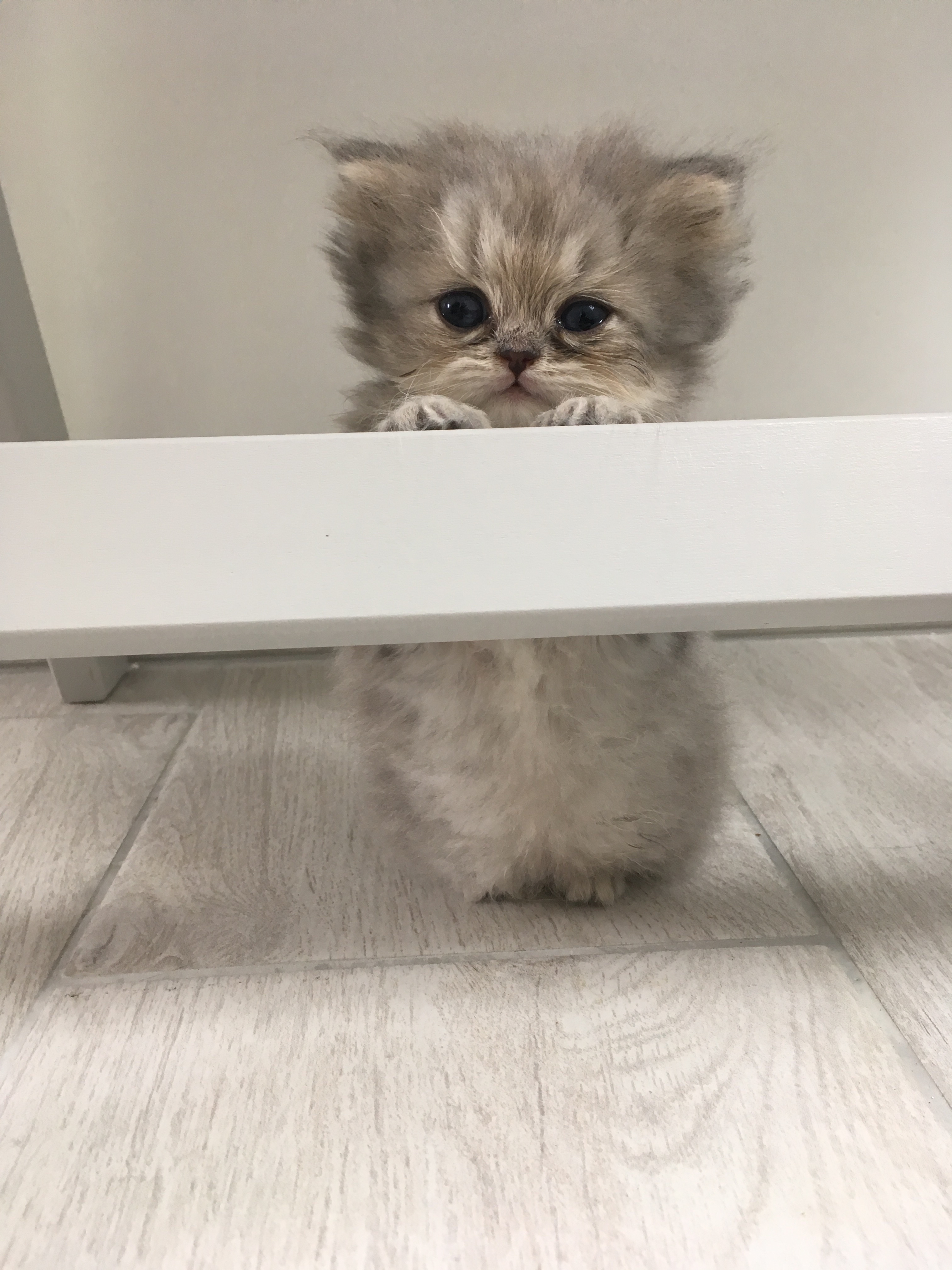 1 mois