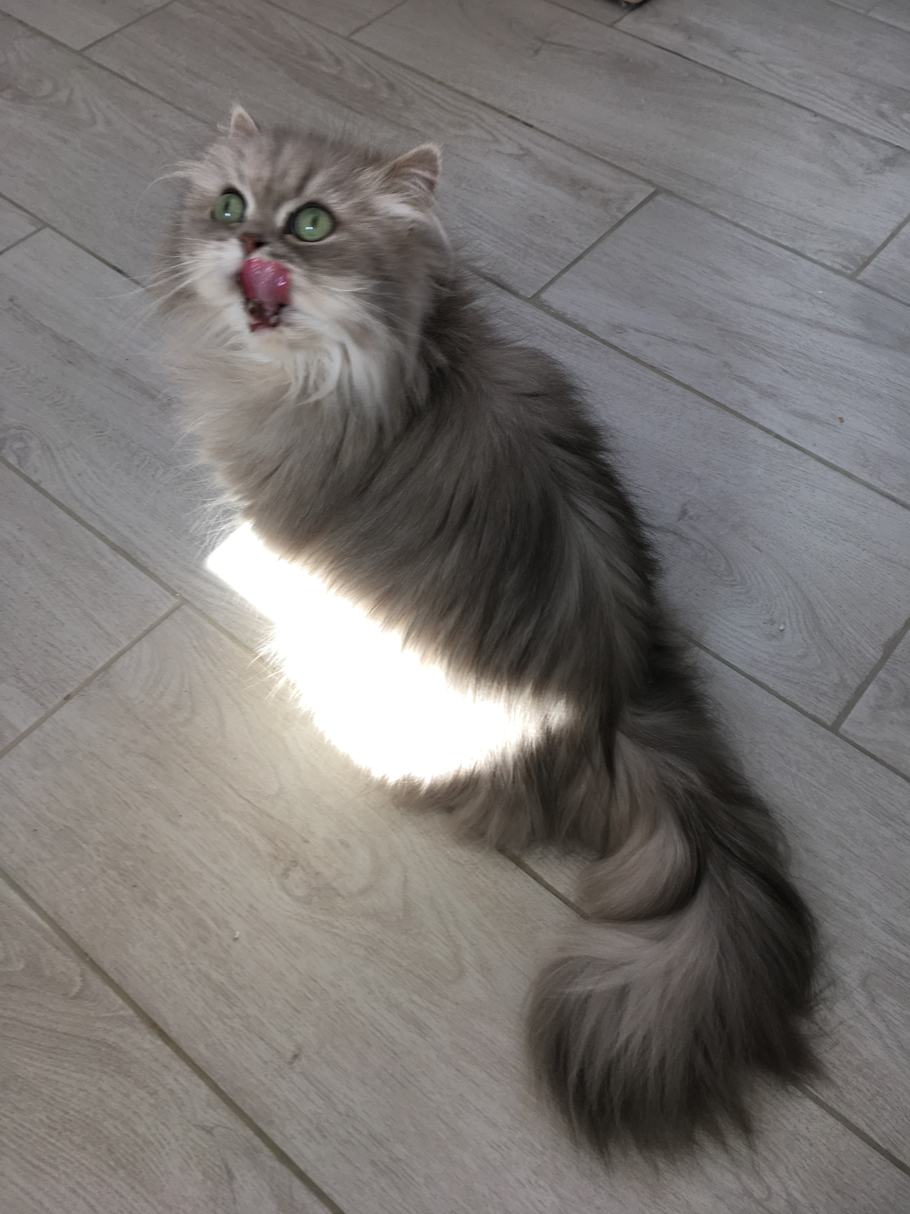 5 ans