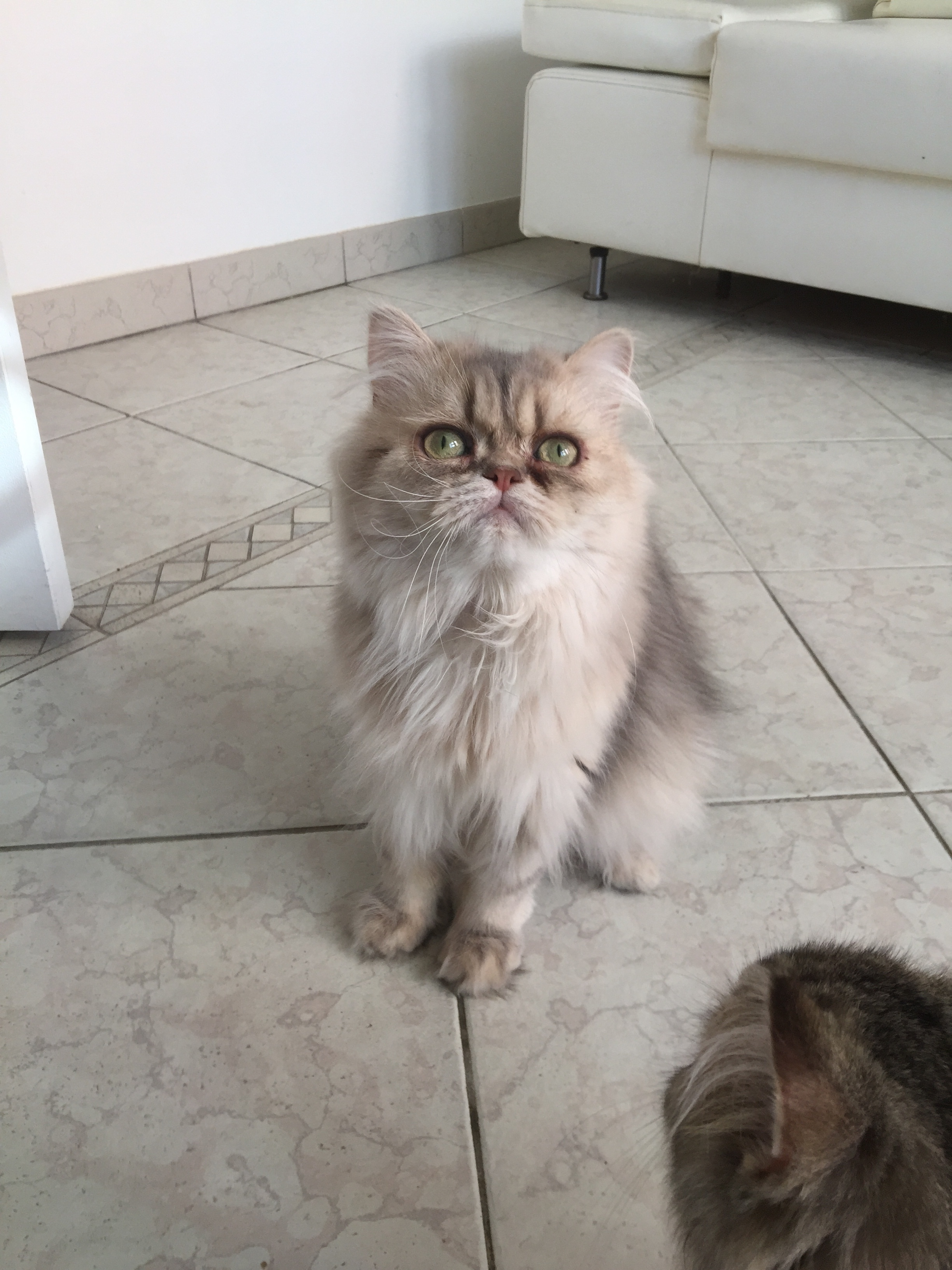 11 mois