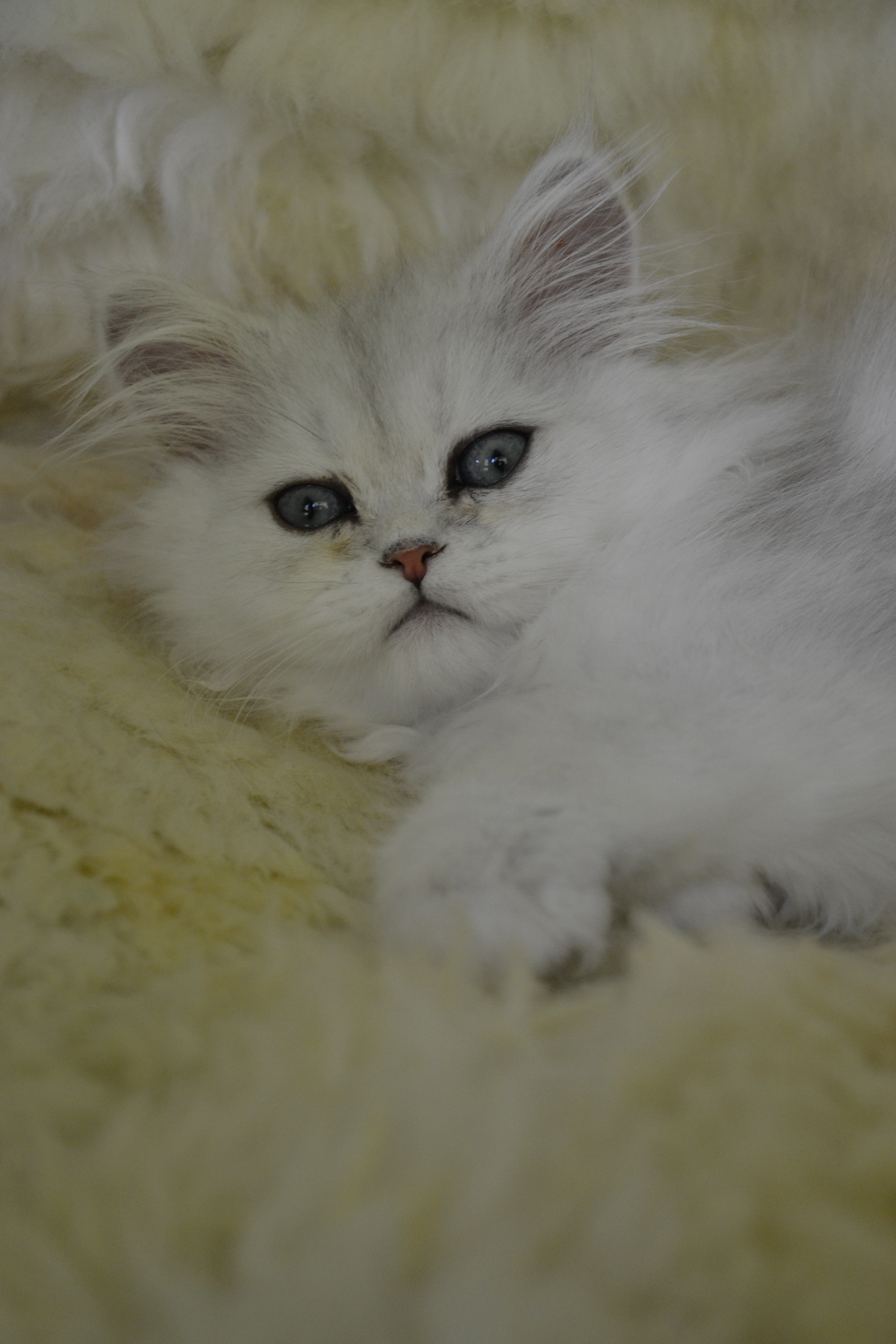 2 mois